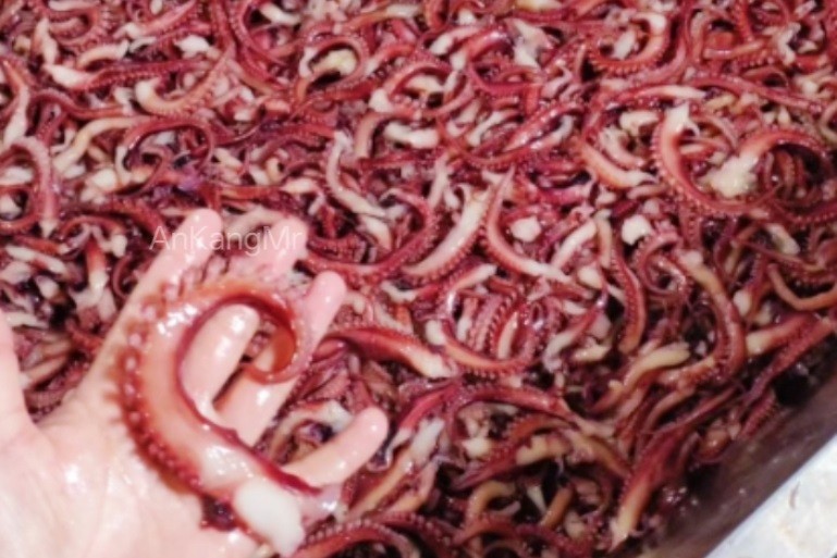 脆口须