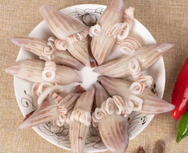 鱿鱼牛角花